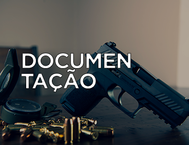 A lambari Armas - Cartilha de Armamento e tiro 